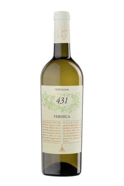 Acanto - Vino Primitivo